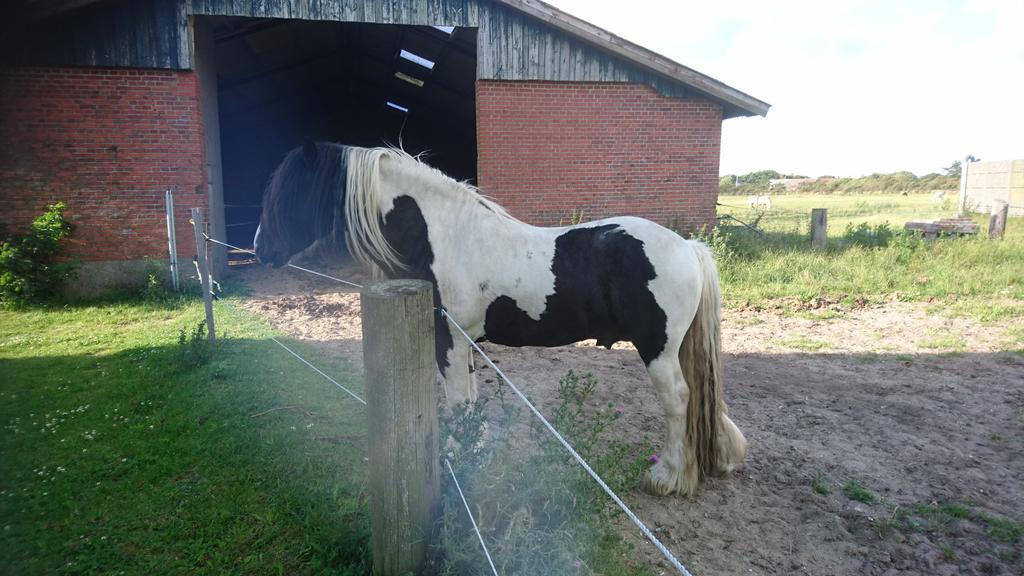 Ferienzimmervermietung Reitferien Lantställe *