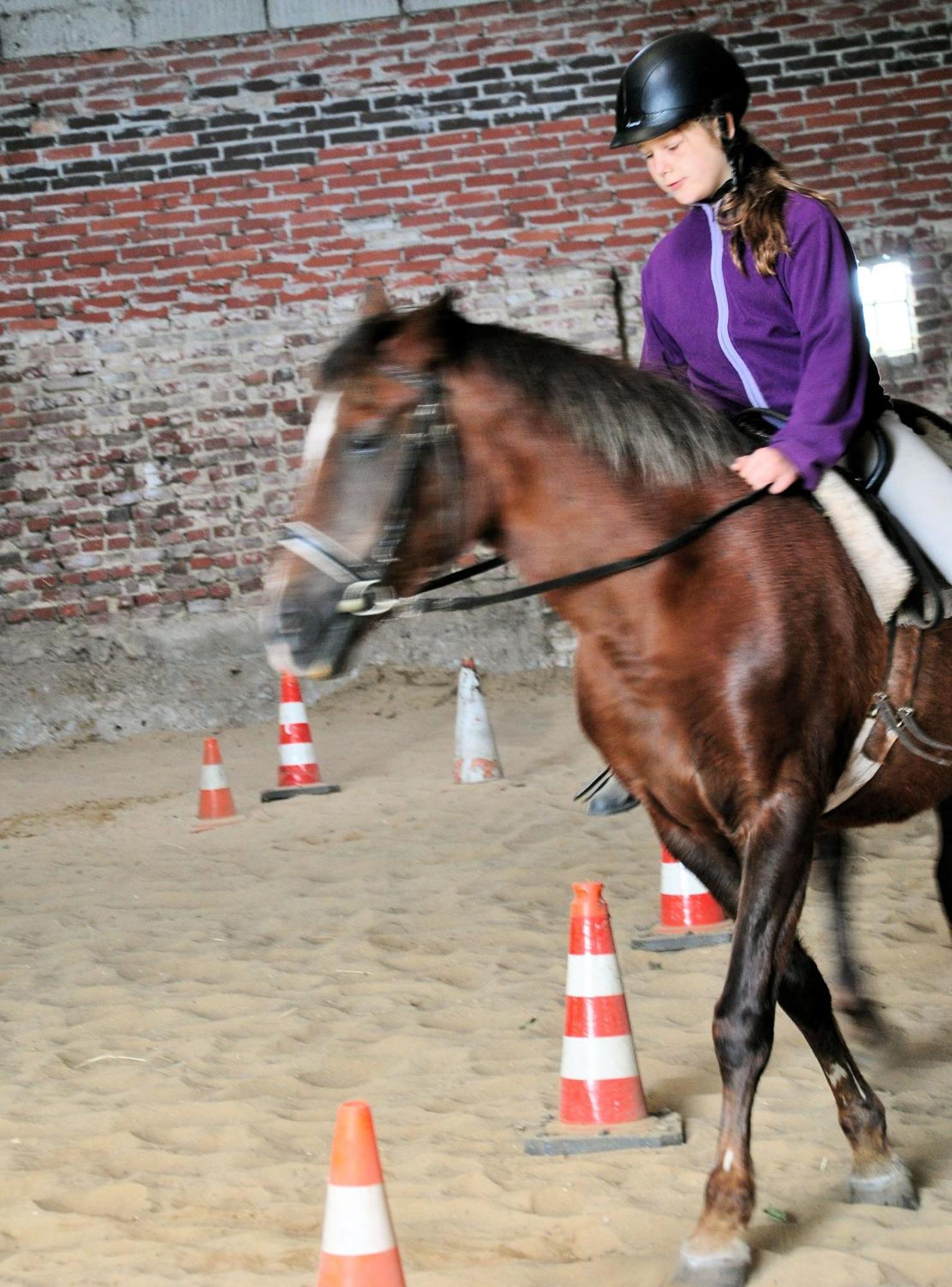 Ferienzimmervermietung Reitferien