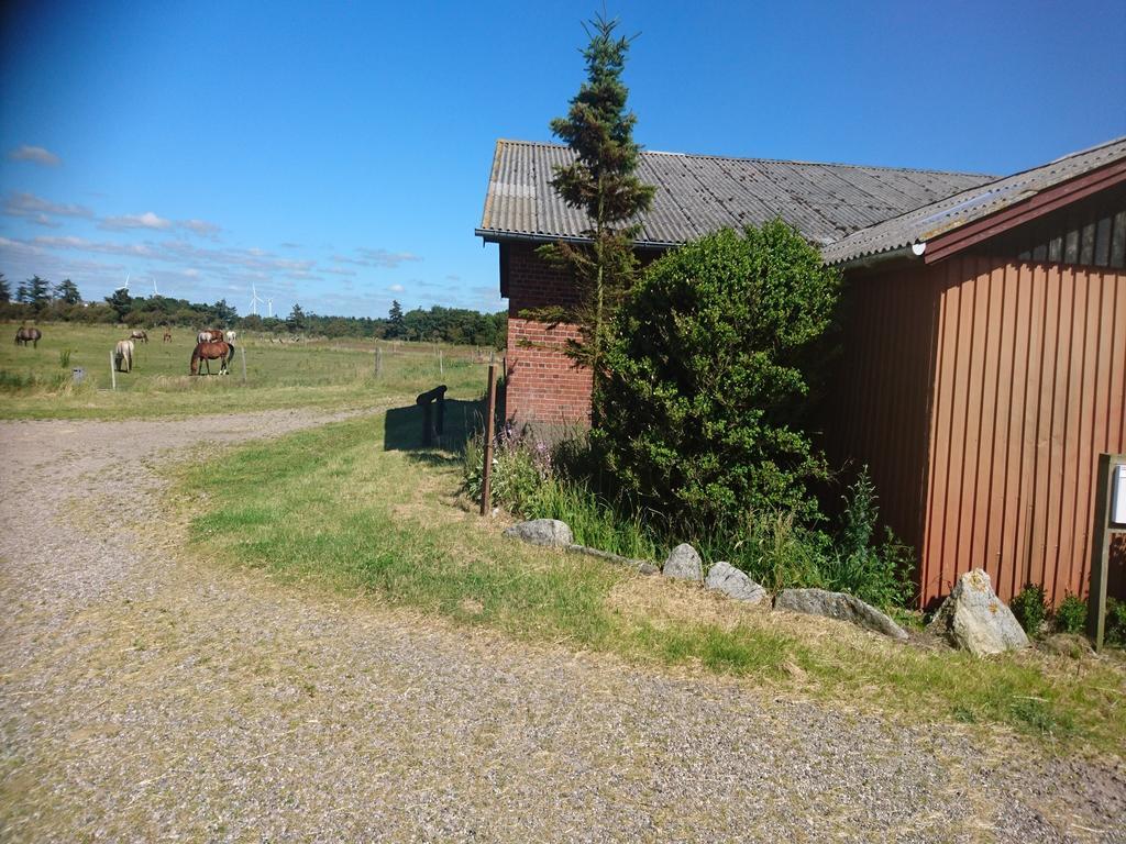 Landhaus Ferienzimmervermietung Reitferien Skærbæk