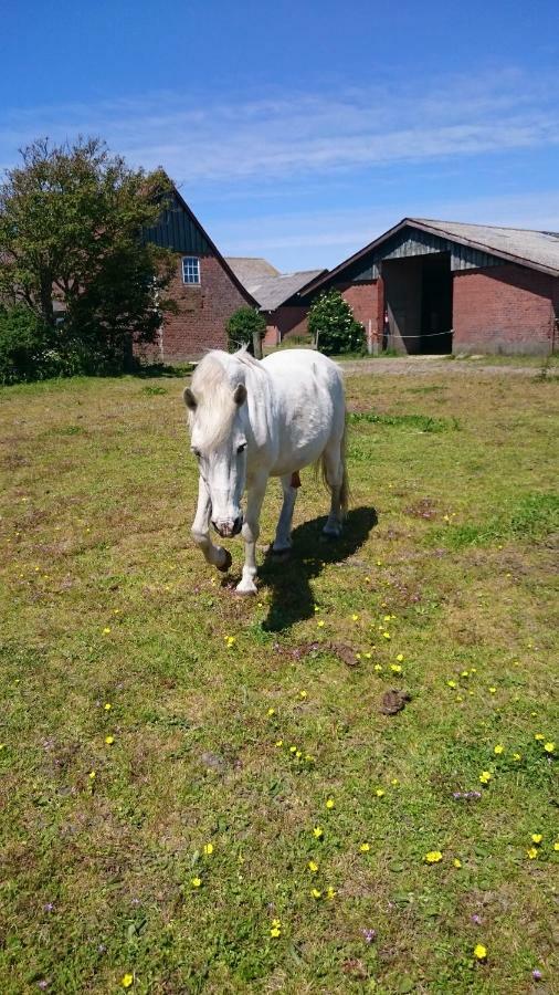 Ferienzimmervermietung Reitferien